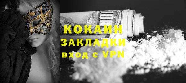 тгк Няндома