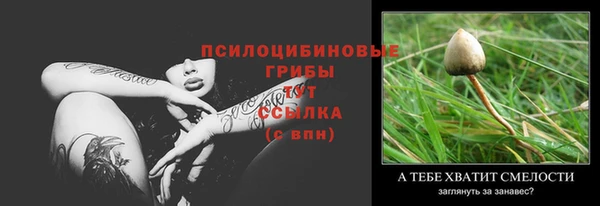 ПСИЛОЦИБИНОВЫЕ ГРИБЫ Алзамай