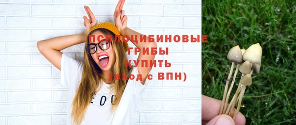 2c-b Алексеевка